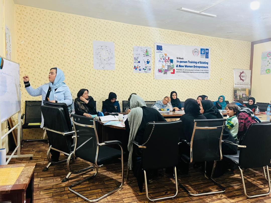 Education and Health Organization for Afghanistan Women (EHOAW)